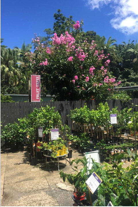 Limberlost Nursery & Garden Centre - ACT Tourism 3