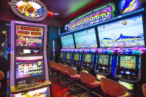 Magpies Sporting Club - ACT Tourism 4