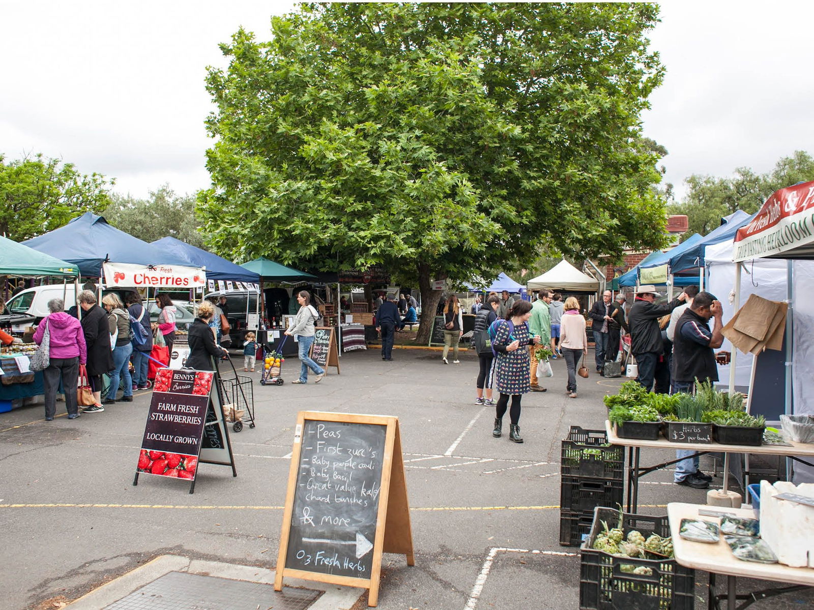 Alphington VIC ACT Tourism