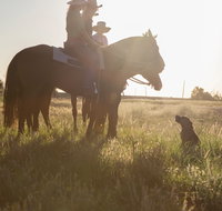 Balonne Cutting Horse Futurity