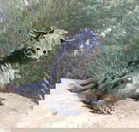 Bathurst Arts Trail - ACT Tourism