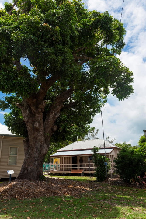 Cardwell Pioneers Tour - ACT Tourism 1