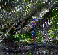 Elephant Trail Race - ACT Tourism