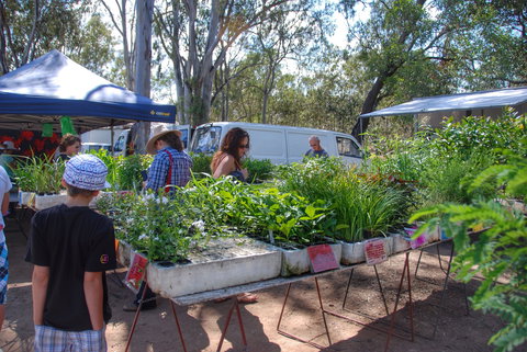 Fernvale Country Markets - ACT Tourism 1