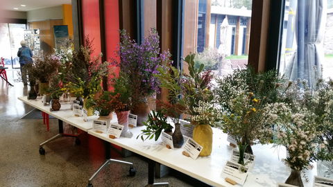 Grampians Wildflower Show - ACT Tourism 0