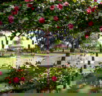 Griffith Spring Fest - ACT Tourism