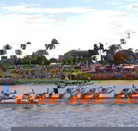 Jacaranda Dragon Boat Races - ACT Tourism