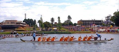 Jacaranda Dragon Boat Races - ACT Tourism 0