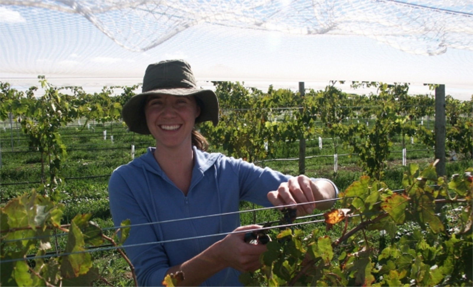 Kingsdale NSW ACT Tourism