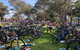 Nowra Toyota TriHusky Huskisson Triathlon Festival (Little Husky) - thumb 1