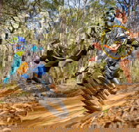 NSW State Downhill Mountain Bike Championships - ACT Tourism