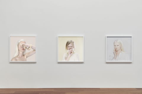 Petrina Hicks: Bleached Gothic Virtual Tour - ACT Tourism 0