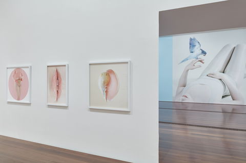 Petrina Hicks: Bleached Gothic Virtual Tour - ACT Tourism 1