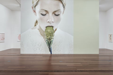 Petrina Hicks: Bleached Gothic Virtual Tour - ACT Tourism 2