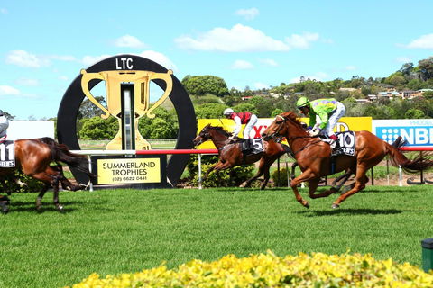The O’Brien Electrical And Plumbing Lismore Cup - ACT Tourism 1