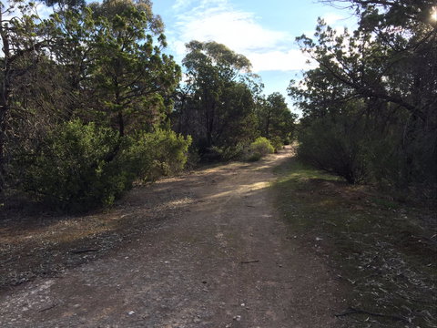 Victoria Park Moonta Monthly Walks - ACT Tourism 0