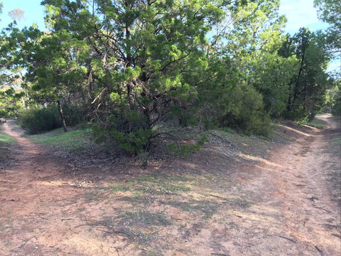 Victoria Park Moonta Monthly Walks - ACT Tourism 1