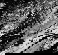 War on our shores - ACT Tourism