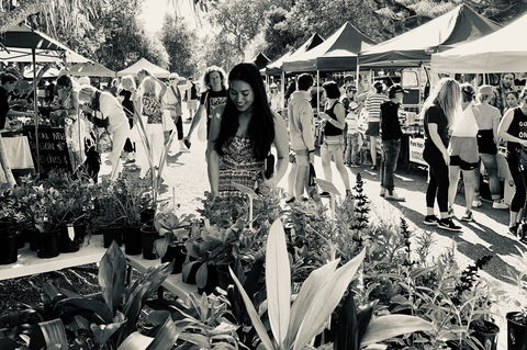 Yamba Farmers And Producers Market - ACT Tourism 0