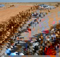 28th Marree Australasian CAMEL CUP 3 July 2021 - ACT Tourism