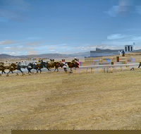 Adaminaby Cup Race Day - ACT Tourism