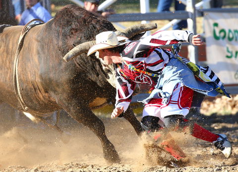 AgriWest Cooma Rodeo - ACT Tourism 2