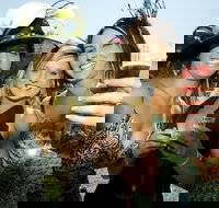 Albury Racing Club Boxing Day Races - ACT Tourism