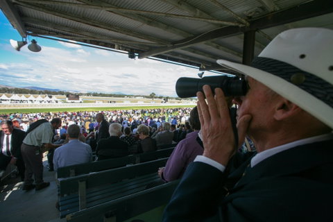 Albury Racing Club Boxing Day Races - ACT Tourism 1