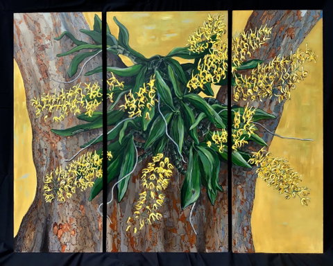 A Still Life - Solo Exhibition  Karen Sedaitis - ACT Tourism 1