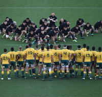 Bledisloe Cup Qantas Wallabies versus All Blacks - ACT Tourism