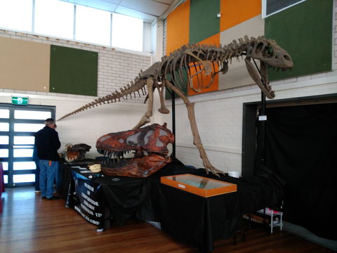 Carlingford Gem And Mineral Expo - ACT Tourism 1