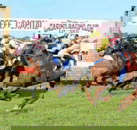 Casino Cup - ACT Tourism
