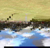 Charlton Lawn Tennis Club Annual Tournament - ACT Tourism