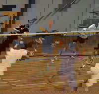 Charlton Badminton Club Ladies Tournament - ACT Tourism