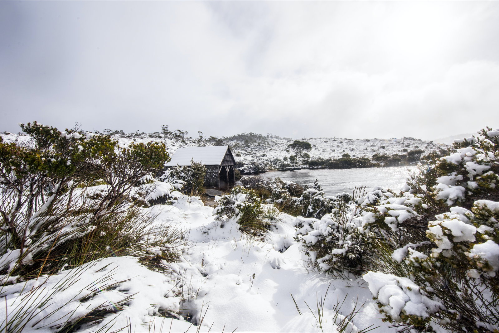 Cradle Mountain TAS ACT Tourism
