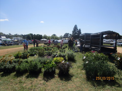 Crookwell Rotary Swap Meet And Market Day - ACT Tourism 1