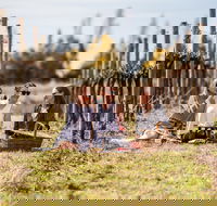 Family Picnic Weekend - ACT Tourism