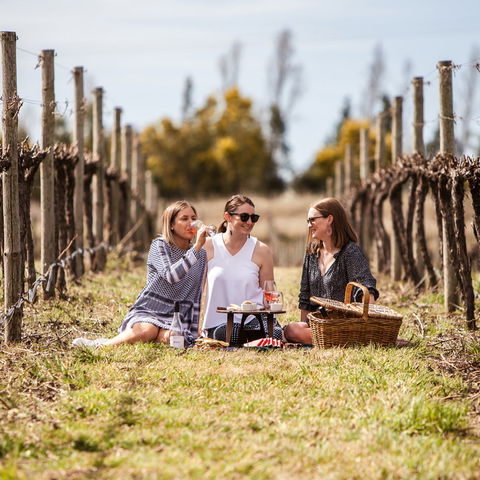Family Picnic Weekend - ACT Tourism 0