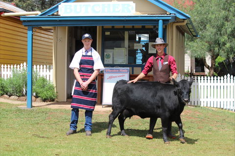Festival Of The Big Cow - ACT Tourism 2