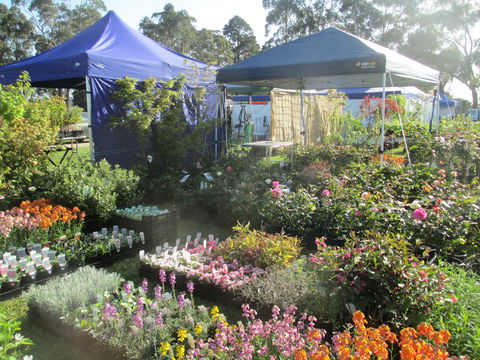 Gippsland Garden And Home Expo-Drouin Lions Club - ACT Tourism 1