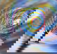 Grab a glass of wine and learn to paint 'Rainbow Snow' - ACT Tourism