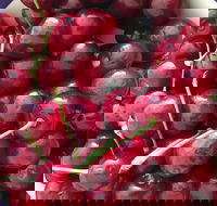 Griffith Rotary Market - ACT Tourism