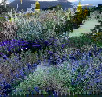 Highfield Gardens - ACT Tourism