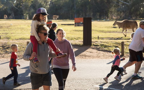 MAAS Group Dubbo Stampede Running Festival - ACT Tourism 1