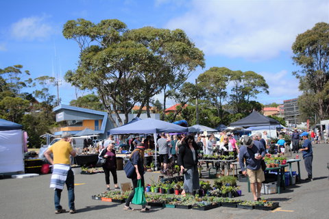 Marine Rescue Ulladulla Wharf Markets - ACT Tourism 1