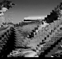 Music in the Gardens - Mitch King - ACT Tourism