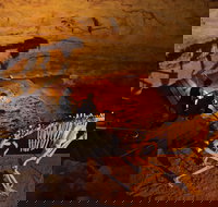 Naracoorte World Heritage Festival and Run - ACT Tourism