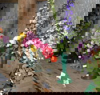 Neville Show - ACT Tourism