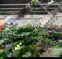 Newcastle - Huge Indoor Plant Warehouse Sale - Christmas Bonanza - ACT Tourism