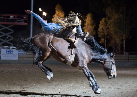 North Queensland Elite Rodeo - ACT Tourism 1